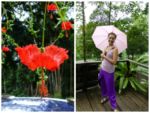 A jeżeli darmowe atrakcje nie wystarczą, to w granicach parku znaleźć można ogromny park ptaków, motyli, jeleni oraz hibiskusów i orchidei! Jeżeli portfel na to pozwala, to można tu miło spędzić cały dzień.