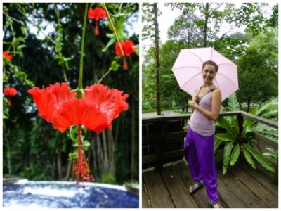 A jeżeli darmowe atrakcje nie wystarczą, to w granicach parku znaleźć można ogromny park ptaków, motyli, jeleni oraz hibiskusów i orchidei! Jeżeli portfel na to pozwala, to można tu miło spędzić cały dzień.